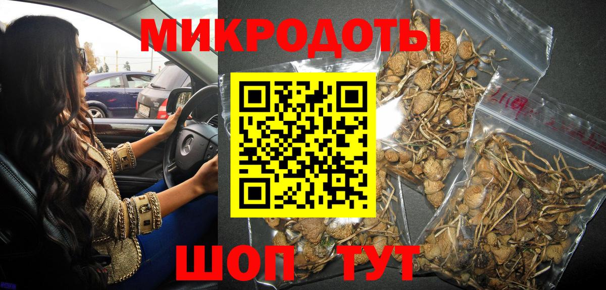 Псилоцибиновые грибы мицелий Моздок