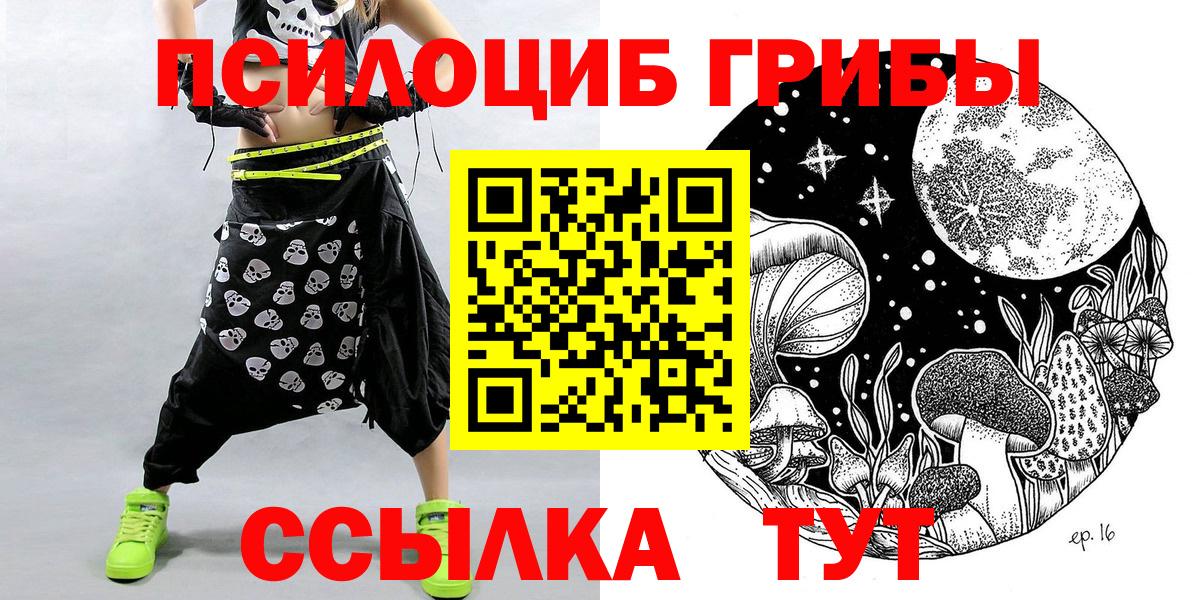Псилоцибиновые грибы GOLDEN TEACHER  Вход с VPN  Моздок 